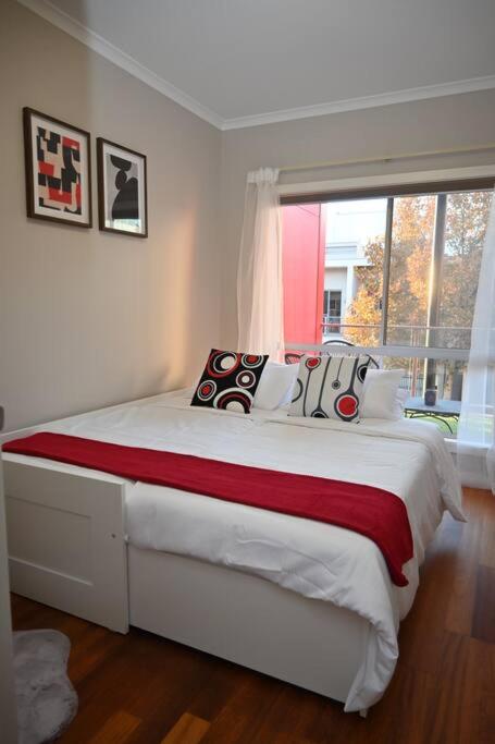 Mawson Red - Free Pool Access -Onsite Parking-Netflix-5 Mins To Mawson Interchange - Holiday Find 3
