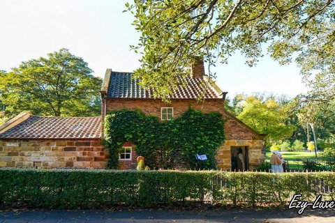 MCG 1BR Apartment For Family - Holiday Find 3