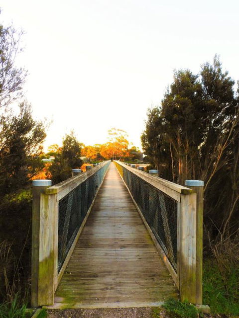 Moomba Holiday And Caravan Park - Holiday Find 3