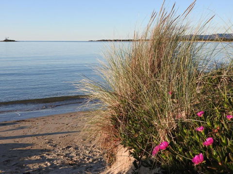 Moomba Holiday And Caravan Park - Holiday Find 1