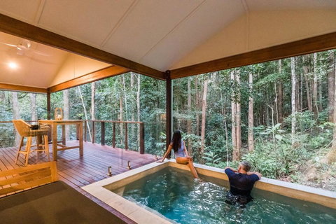 Narrows Escape Rainforest Retreat - Holiday Find 1