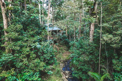 Narrows Escape Rainforest Retreat - Holiday Find 0