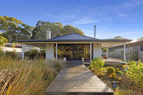 Neptune - Holiday Find 2