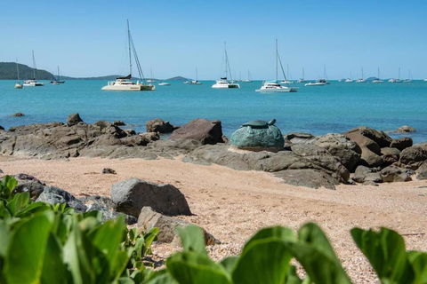 NEW! Gorgeous 2BR Apartment With Stunning Ocean Views! - Holiday Find 1