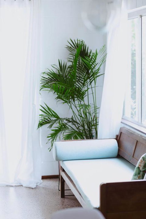 Newly Renovated 1970s House Dog And Kid Friendly - Holiday Find 0