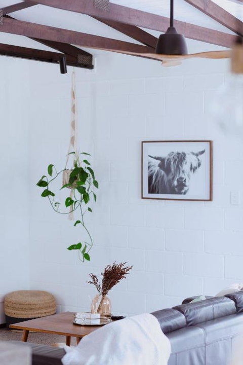 Newly Renovated 1970s House Dog And Kid Friendly - Holiday Find 3