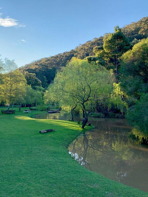Pennyroyal Otways Retreat - Holiday Find 3