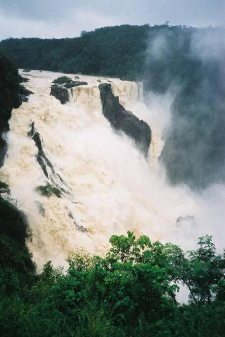 Private Rainforest Ridge Retreat - Holiday Find 3