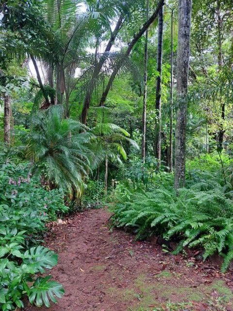 Rainforest Retreat-Fireplace-BBQ-3 Acres- - Holiday Find 0