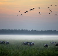 Bamurru Plains - Holiday Find