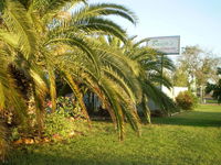 Book Winton Accommodation Vacations Holiday Find Holiday Find