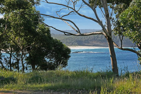 Bannister 49 - Neptune's Way - Holiday Find 1