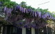 Barossa Gateway Motel - thumb 2