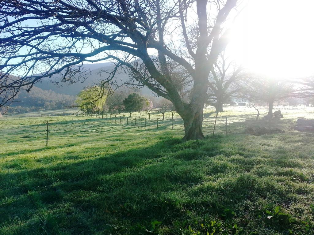 Running Creek VIC Holiday Find