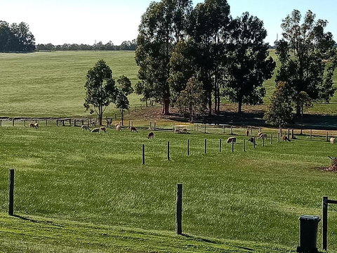 Redtail Ridge Cottages - Holiday Find 1