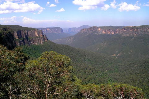 Ribbon Gum Lodge - Holiday Find 1