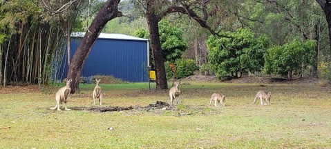Roo Or 2 On Streeter - Holiday Find 0