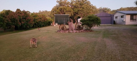 Roo Or 2 On Streeter - Holiday Find 1