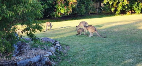 Roo Or 2 On Streeter - Holiday Find 3