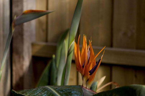 Rose Cottage - Holiday Find 1