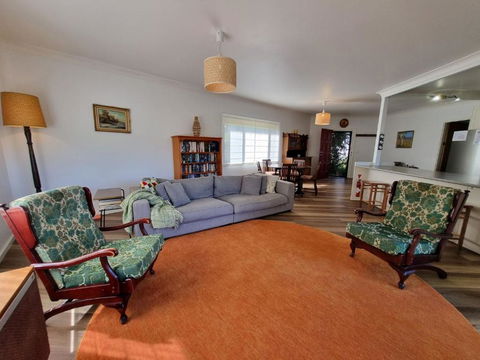 Salty Dog - Holiday Find 1