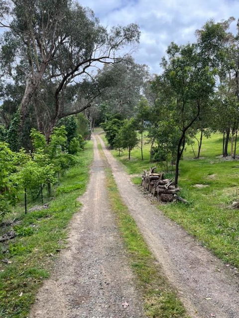 Spacious 4 Bed, 2 Lounge, 2 Bath, Acre Home With Tree Top Views - Yarra Valley Gateway! - Holiday Find 0