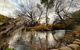 The Bushmill Cottage - thumb 3