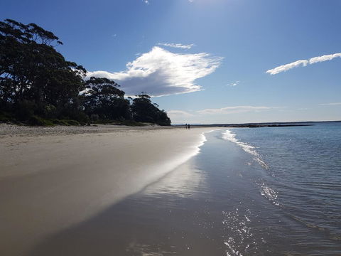 Beachside Husky - Waterfront - Holiday Find 2