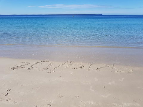 Beachside Husky - Waterfront - Holiday Find 0