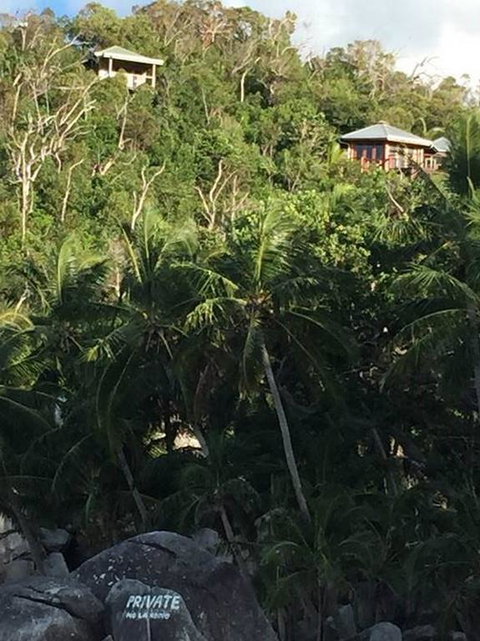 Bedarra Island Treetop Hideaway - Holiday Find 3
