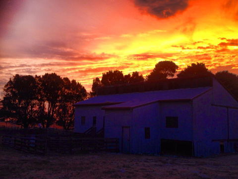 Beggs Farmstay B&B - Holiday Find 1