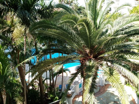 Bel Air Private Condominium - Holiday Find 0