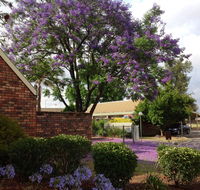 Belvoir Village Motel  Apartments Wodonga - Holiday Find