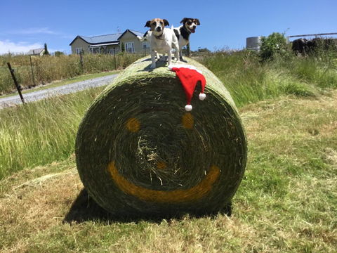 Beth's Cottage Roaring 40s - Holiday Find 1