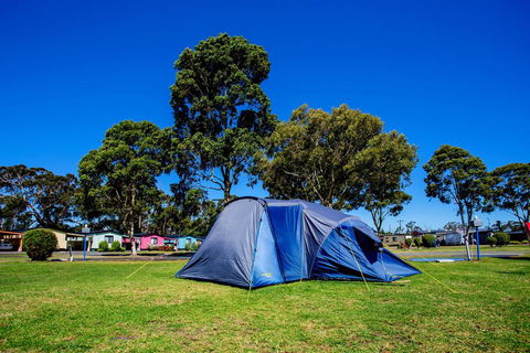 BIG4 Traralgon Park Lane Holiday Park - Holiday Find 2