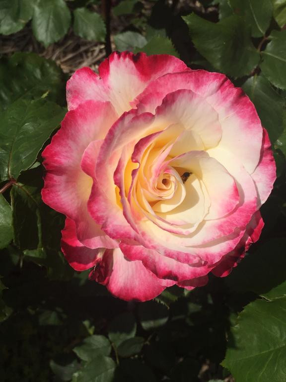 Gobur VIC Holiday Find