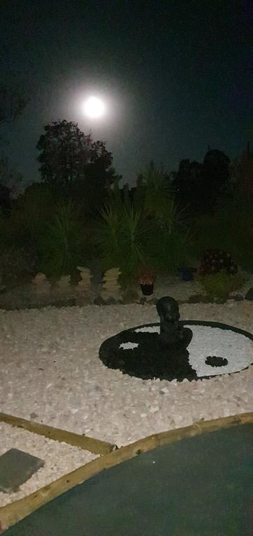 Birdhouse Cottage B&B - Holiday Find 1