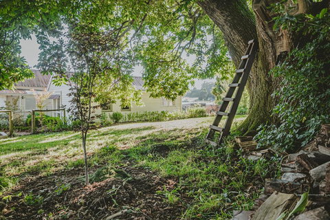 Blacksmiths Cottage - Holiday Find 1