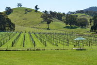 Book Mount Cole Accommodation Vacations Holiday Find Holiday Find