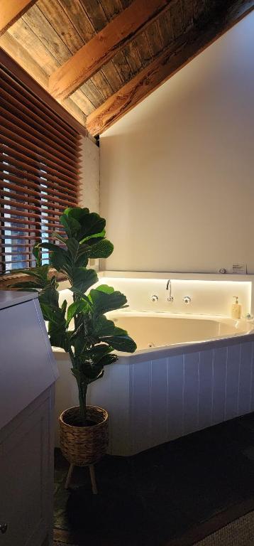 Daylesford - FROG HOLLOW ESTATE - One Bedroom Retreat Villa - Book For 3 Nights Pay For 2 - Contact Us For More Details - Holiday Find 3