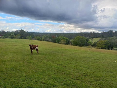 Maison De Lavande Farmstay - Holiday Find 1