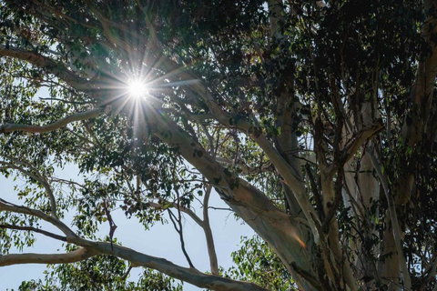 Yarramie - Holiday Find 1