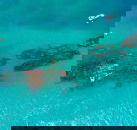 Private Tangalooma Wrecks Tour - Holiday Find