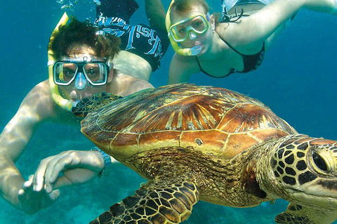 8-Day Cairns Tour: Great Barrier Reef, Kuranda, Daintree Rainforest - Holiday Find 1