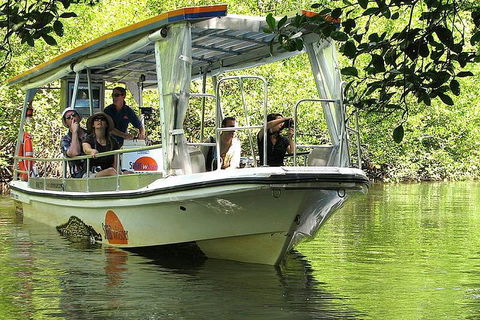 3-Day Best Of Cairns Combo: The Daintree Rainforest, Great Barrier Reef, And Kuranda - Holiday Find 4