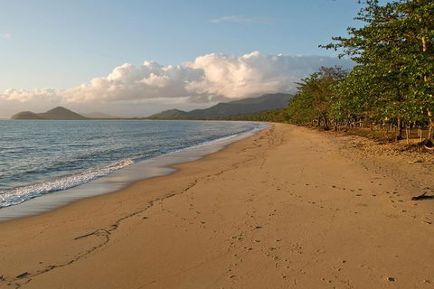 Cairns Reef And Rainforest Combo: Daintree Rainforest And The Great Barrier Reef - Holiday Find 4