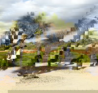 1 Day Exclusively Private Tour Of Phillip Island  The Penguin Parade - Holiday Find