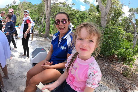 Whitehaven Beach Day Tour With Snorkel In Whitsundays Island - Holiday Find 1