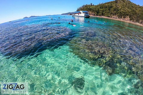 Whitehaven Beach Day Tour With Snorkel In Whitsundays Island - Holiday Find 5