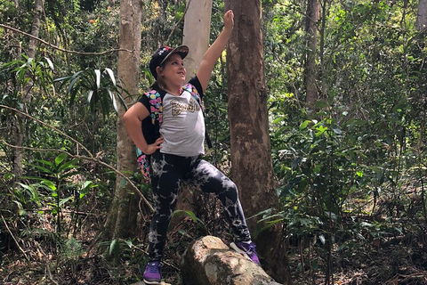 Natural Bridge, Skywalk And Mt Tamborine Adventure! - Holiday Find 3